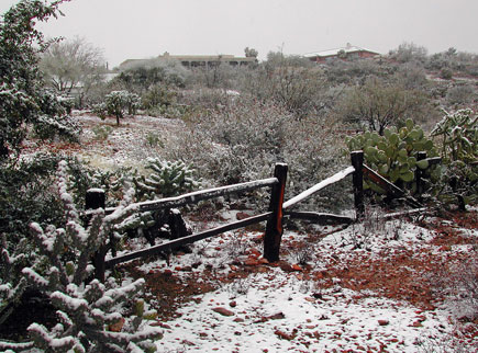 Snow-on-fence
