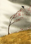 bird-versus-wind