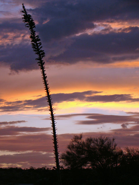 Sunset colors | Another Think