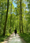 Young man walking along a wooded path