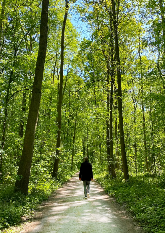 Young man walking along a wooded path